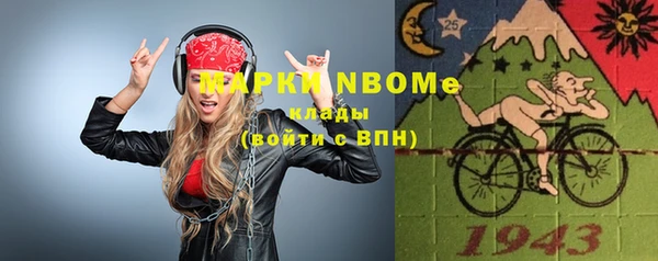 индика Осташков
