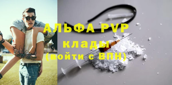 индика Осташков