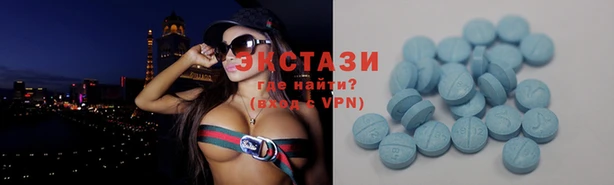 индика Няндома
