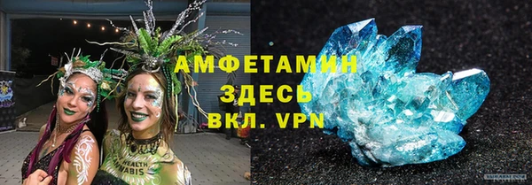 индика Осташков