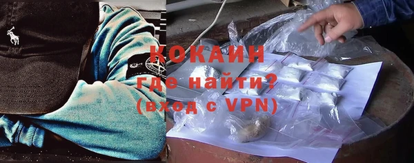 индика Осташков