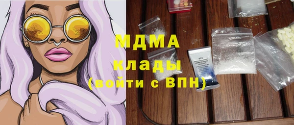 индика Осташков