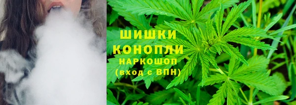 индика Осташков
