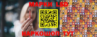 индика Донецк