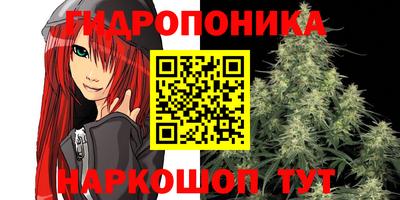 индика Донецк