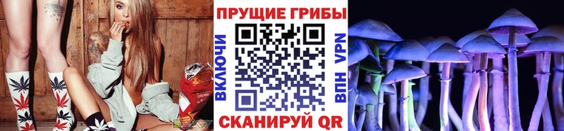 ОМГ ОМГ ONION  Полевской  Псилоцибиновые грибы мухоморы  как найти закладки 