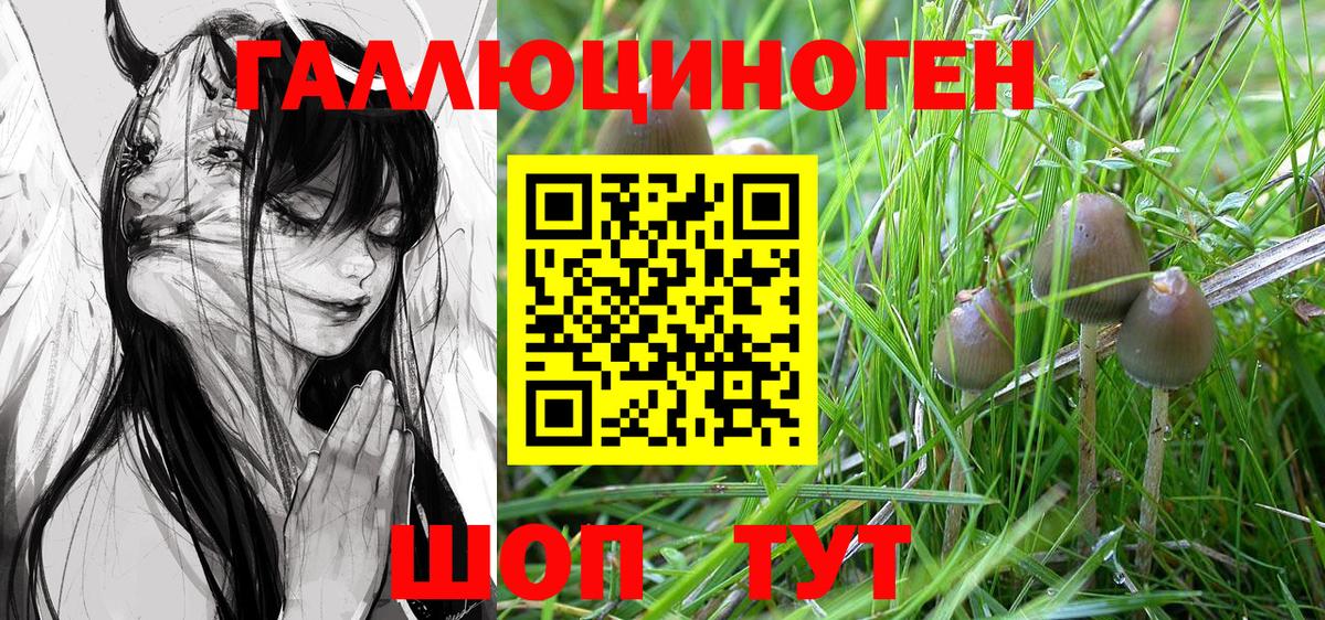 сколько стоит  Псилоцибиновые грибы Psilocybe  Вход с VPN  Галлюциногенные грибы Cubensis  Полевской 